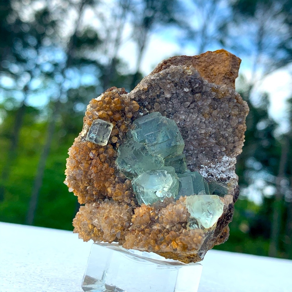 Fujian 2019 - cubic fluorite & Hematite Amethyst